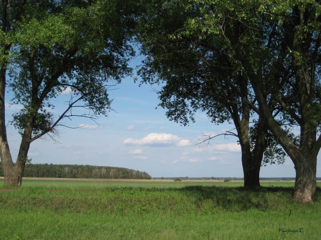 Устинкова Гребля з panoramio.com - Устинкова Гребля