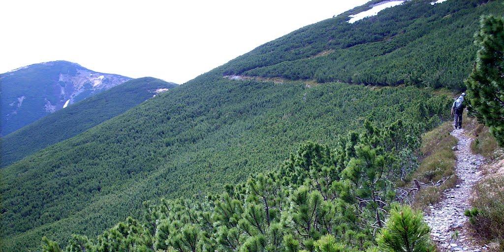 Осмолода з panoramio.com (ч.2) - Осмолода