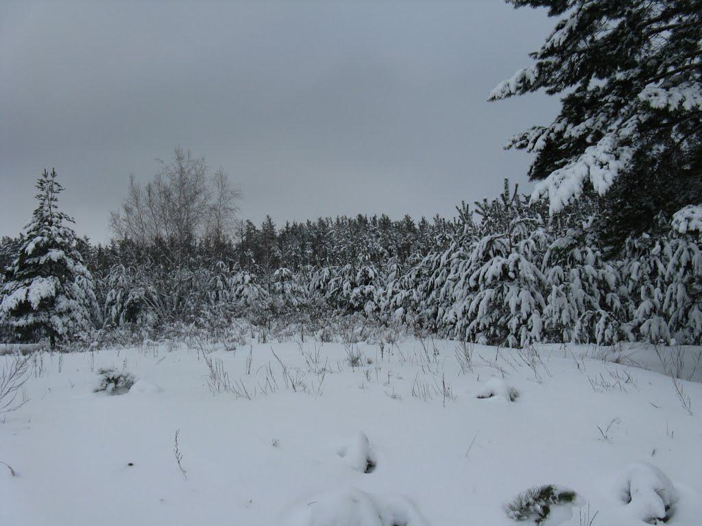 Гадяч з panoramio.com - Гадяч