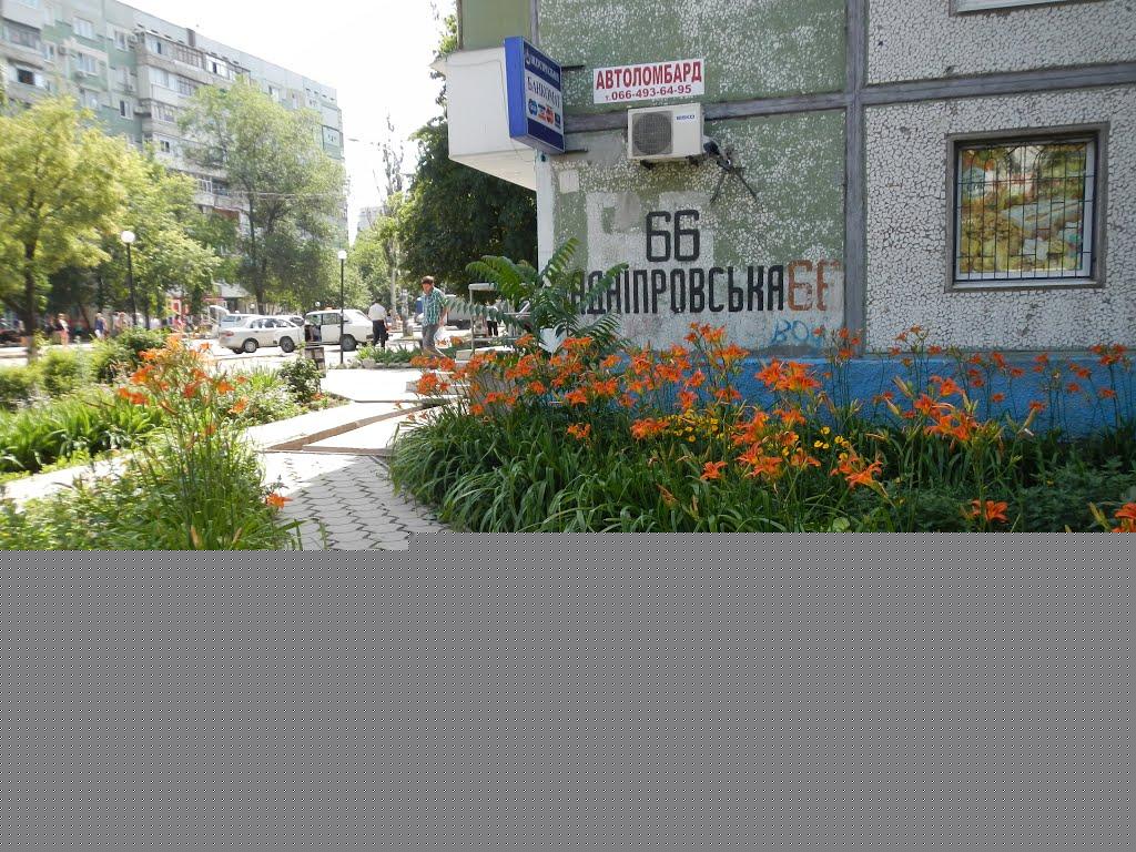 Міжгір'я з panoramio.com - Міжгір'я