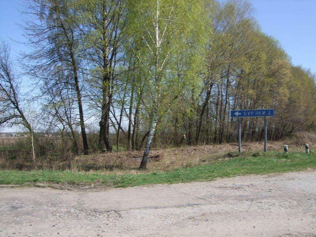 Буряки з panoramio.com - Буряки
