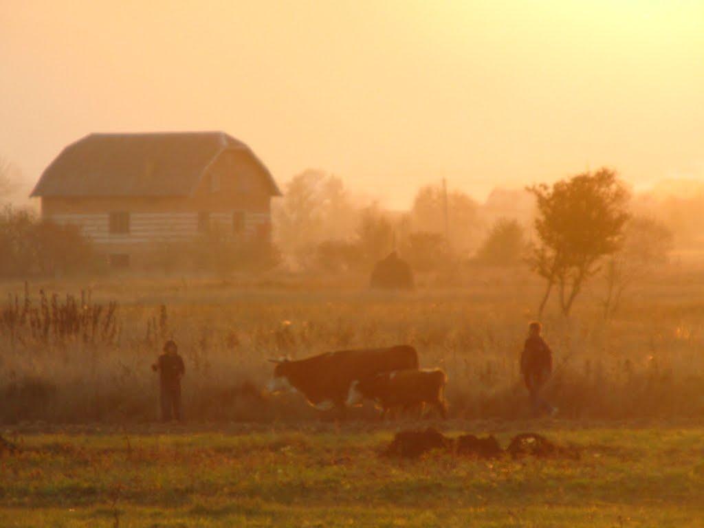 Солотвин з panoramio.com - Solotvyn