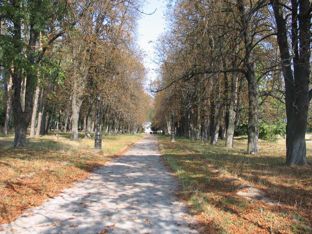 Будище з panoramio.com - Будище