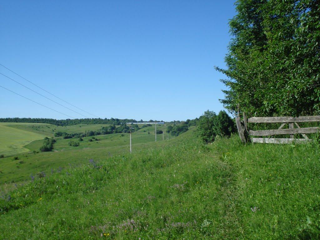 Радівці з panoramio.com - Радовцы