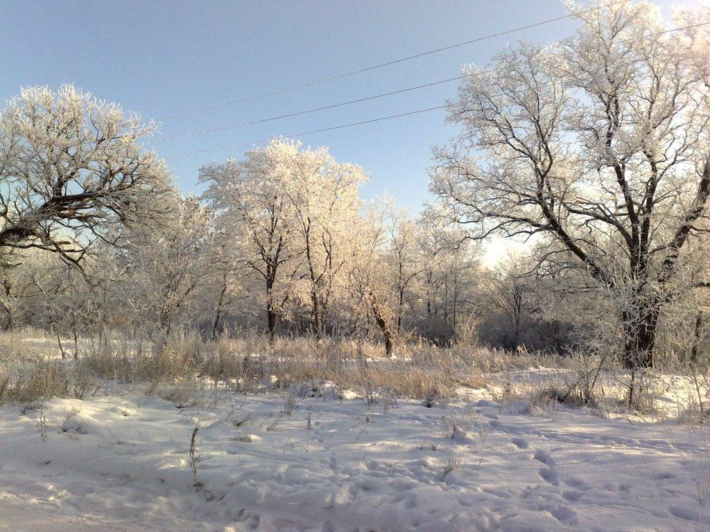 Брянка з panoramio.com (ч.2) - Брянка