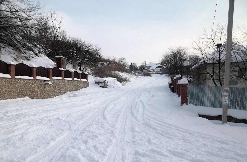 Великі Бірки з panoramio.com - Великие Борки