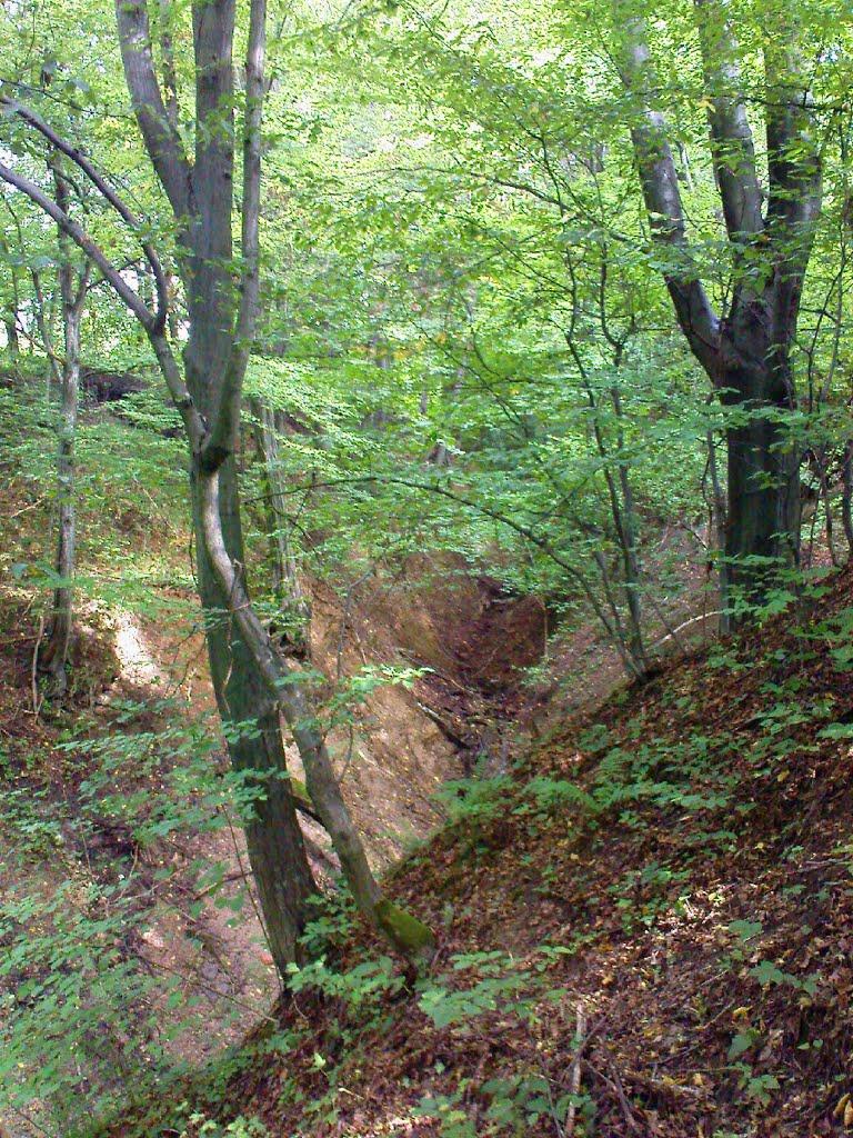 Поляна з panoramio.com - Поляна