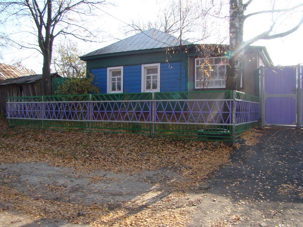 Паліївка з panoramio.com - Паліївка