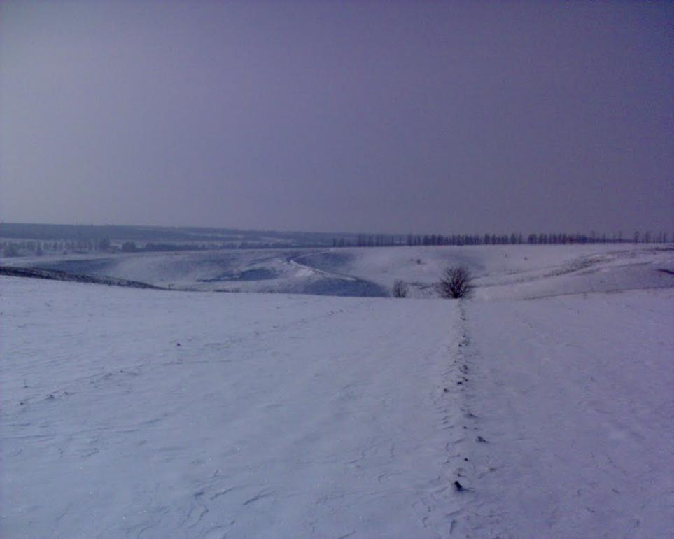 Червона Нива з panoramio.com - Червона Нива