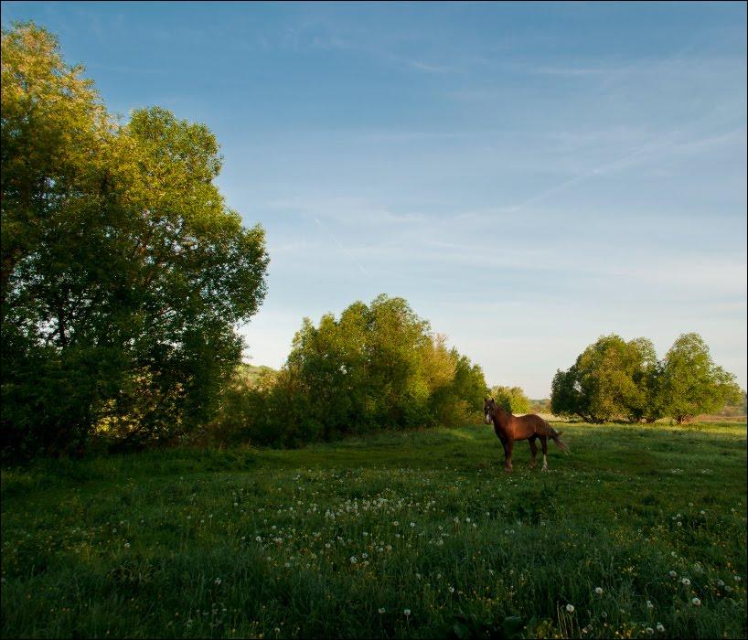 Мислова з panoramio.com - Мислова