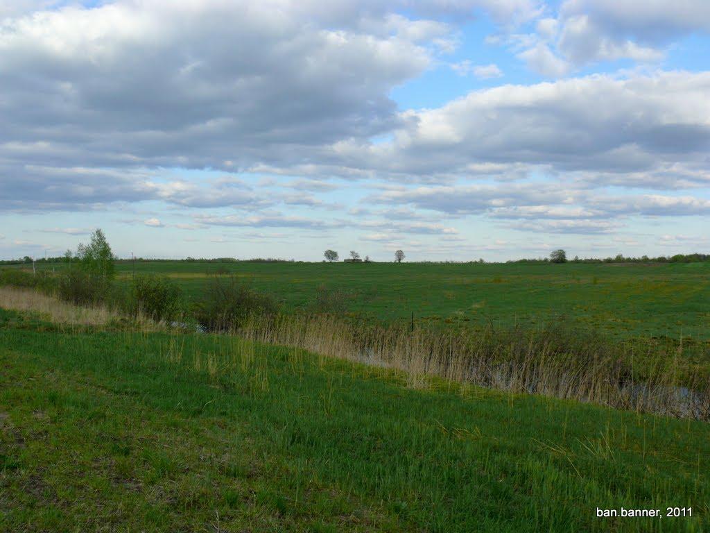 Нові Білокоровичі з panoramio.com - Нові Білокоровичі