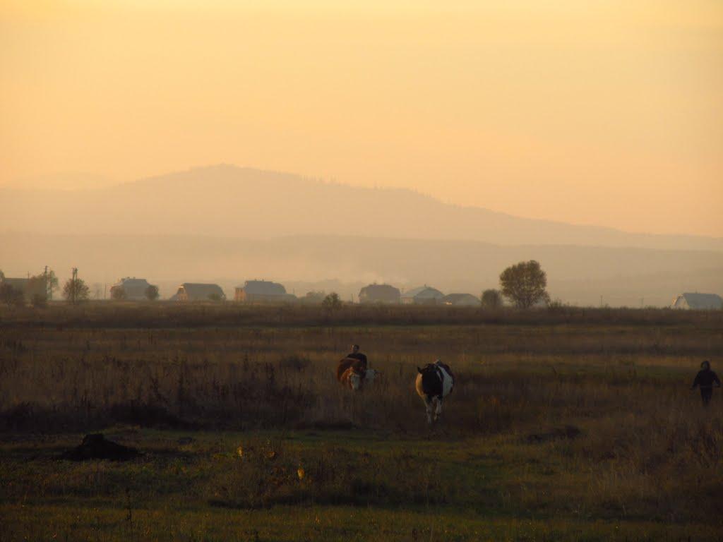 Солотвин з panoramio.com - Solotvyn