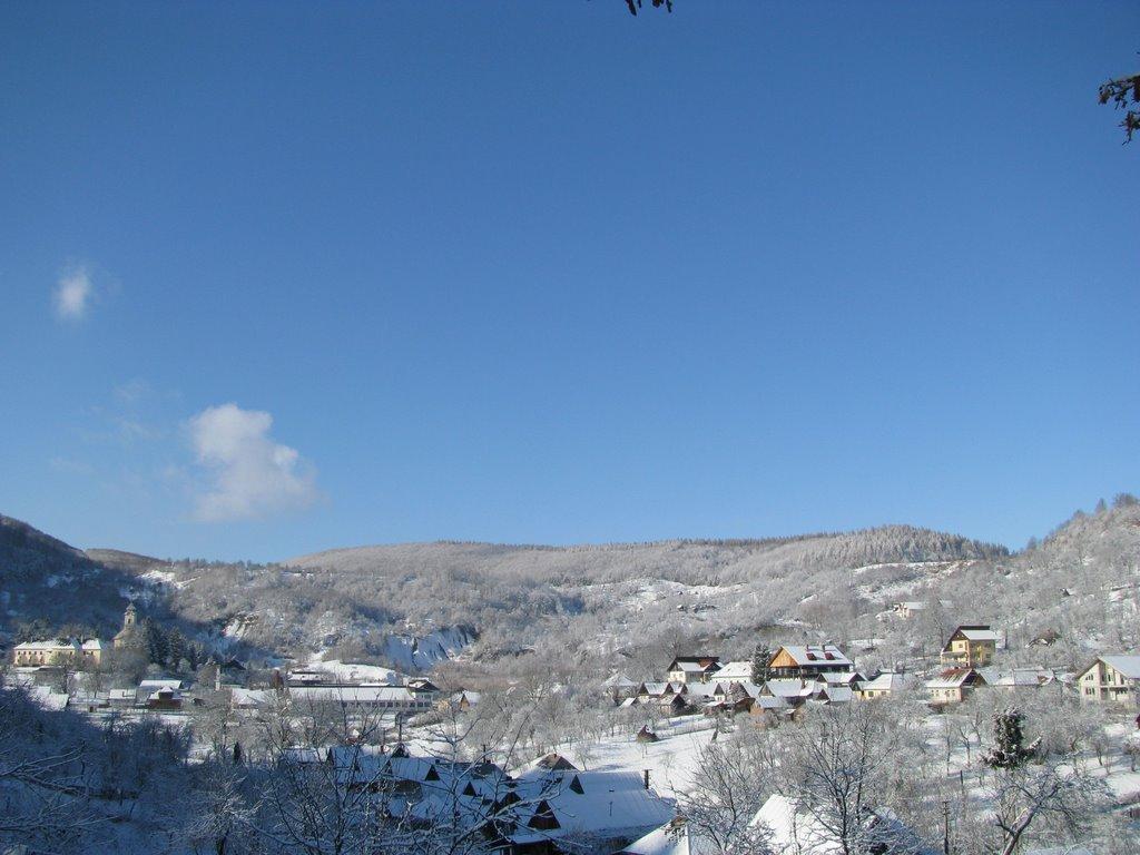 Великий Бичків з panoramio.com - Великий Бичків