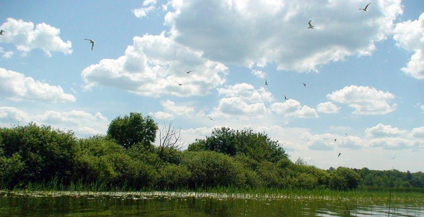 Світязь з panoramio.com - Свитязь