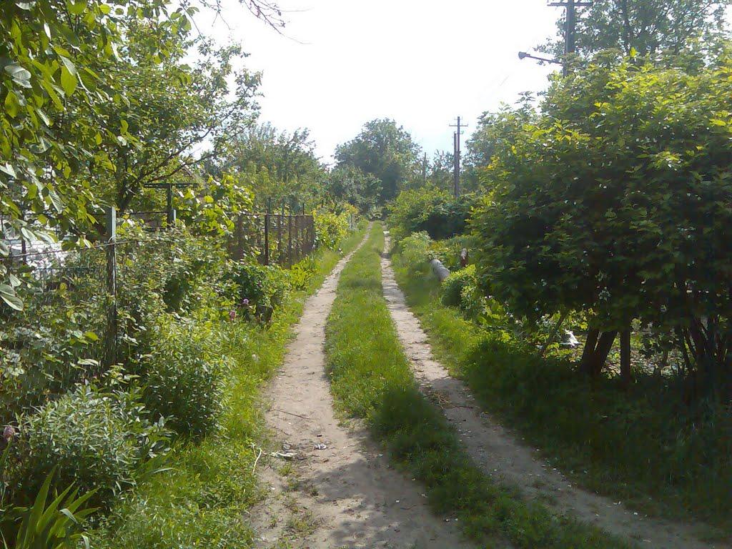 Ювілейне з panoramio.com - Ювілейне