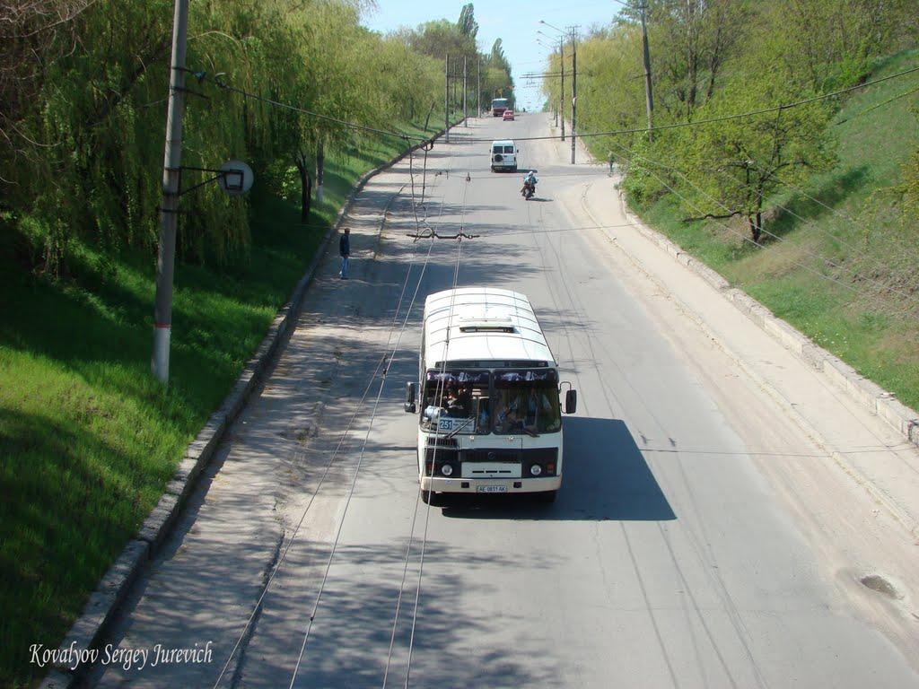 Кам'яне Поле з panoramio.com - Каменное Поле