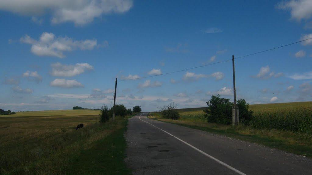 Олексіївка з panoramio.com - Олексіївка