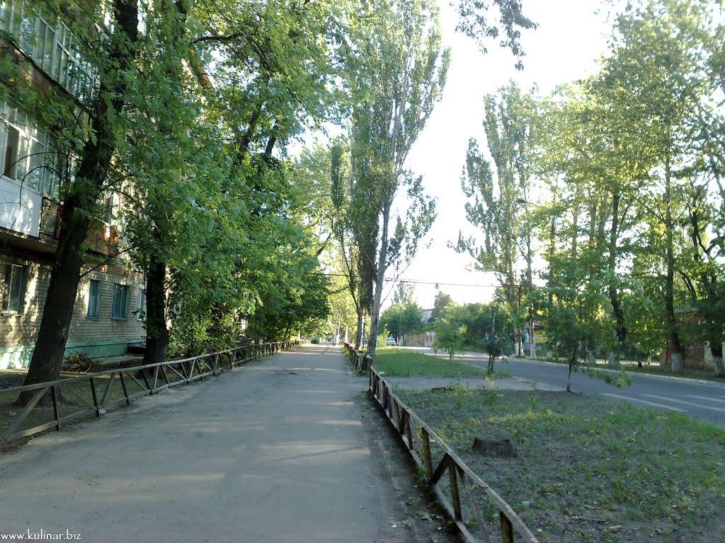 Токмак з panoramio.com - Токмак
