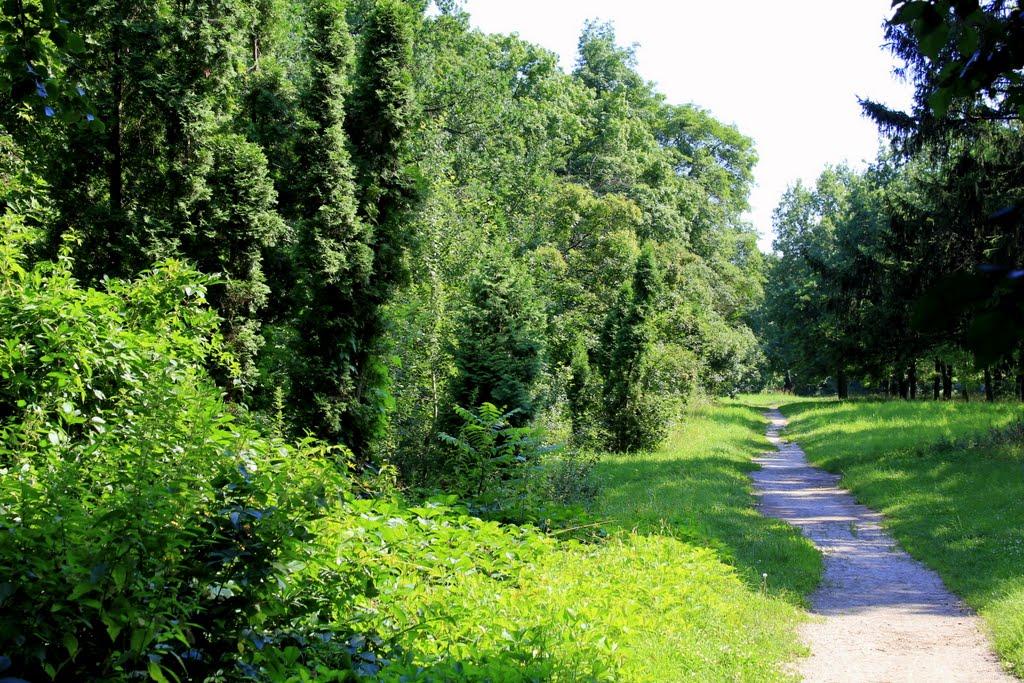 Глибочка з panoramio.com - Glybochka