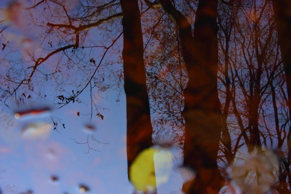 Папірня з panoramio.com - Папірня