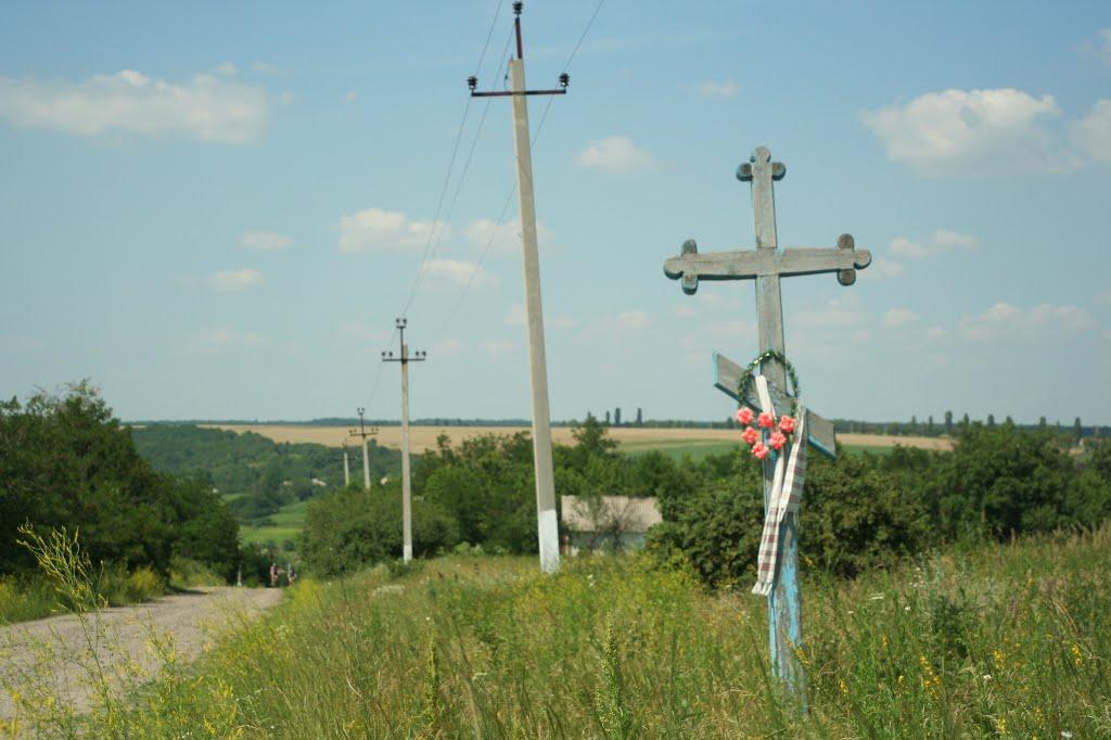 Неділкове з panoramio.com - Nedilkove