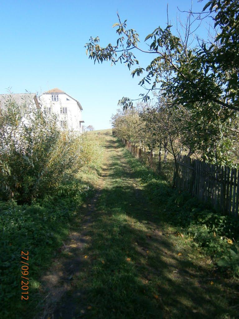 Берездівці з panoramio.com - Berezdivtsi