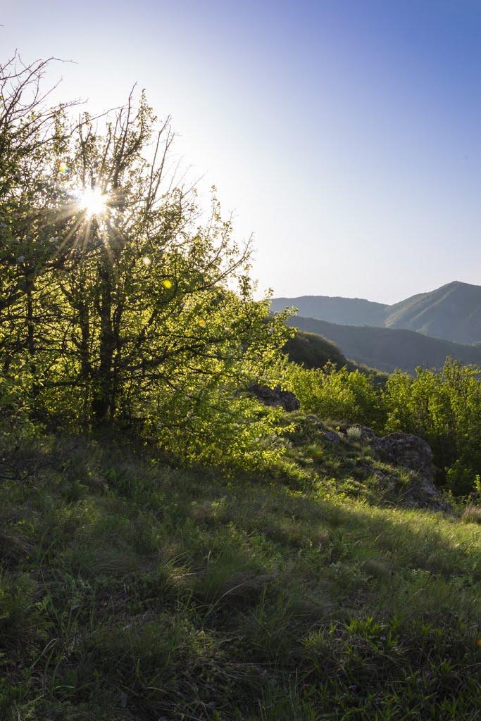 Зеленогір'я з panoramio.com - Зеленогір'я