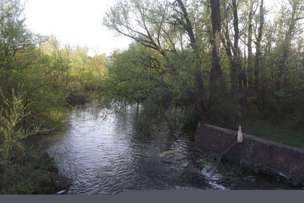 Ясенівці з panoramio.com - Ясенівці