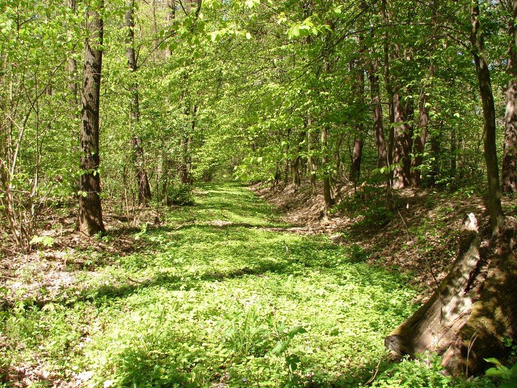 Угринів з panoramio.com - Угринів