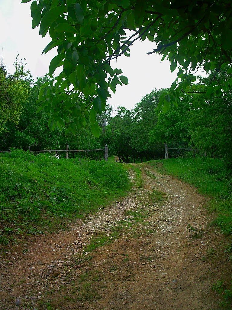 Краснолісся з panoramio.com - Краснолесье