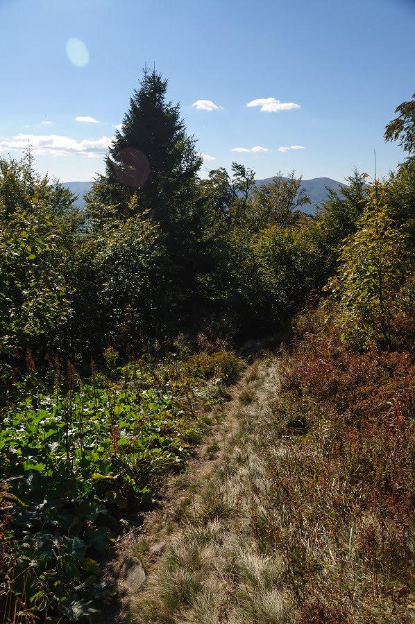 Щербовець з panoramio.com - Щербовець