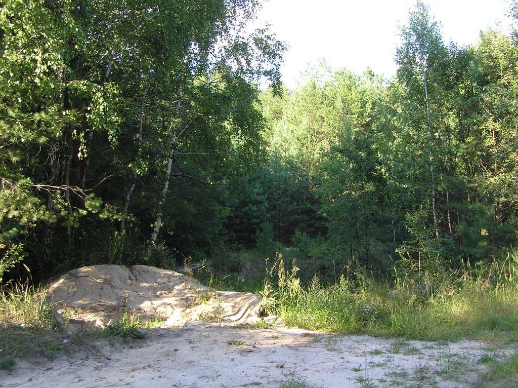 Нова Ушиця з panoramio.com - Нова Ушиця