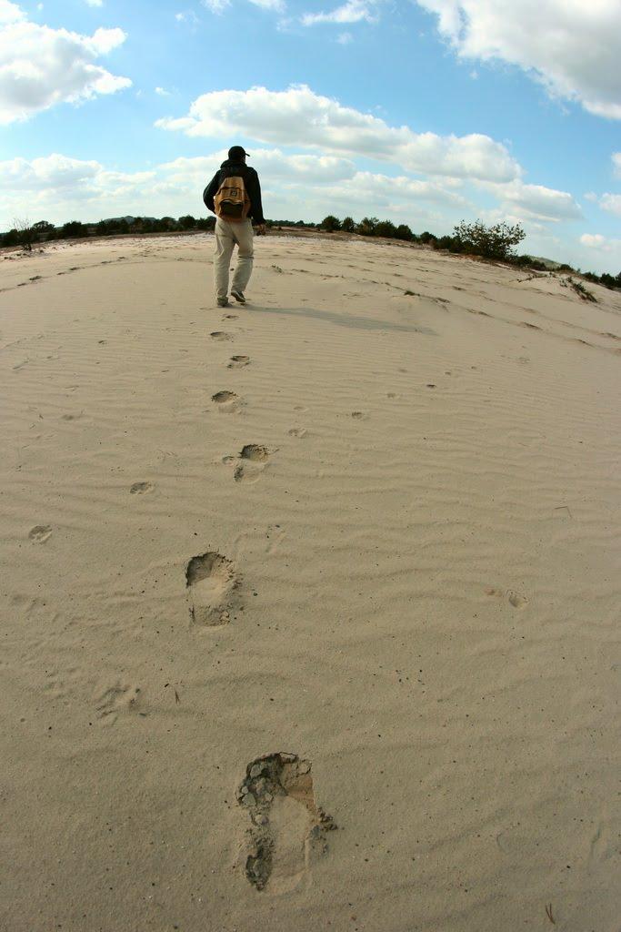 Волсвин з panoramio.com - Волсвин