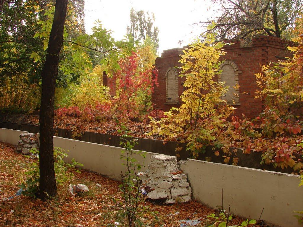 Добропілля з panoramio.com - Доброполье