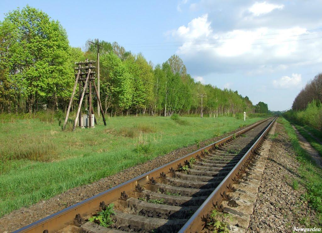 Ковель з panoramio.com (ч.2) - Ковель
