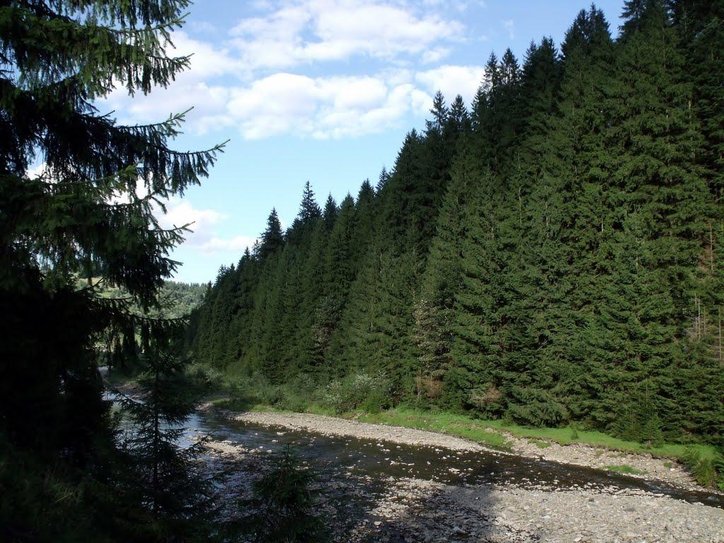 Верхній Бистрий з panoramio.com - Верхній Бистрий