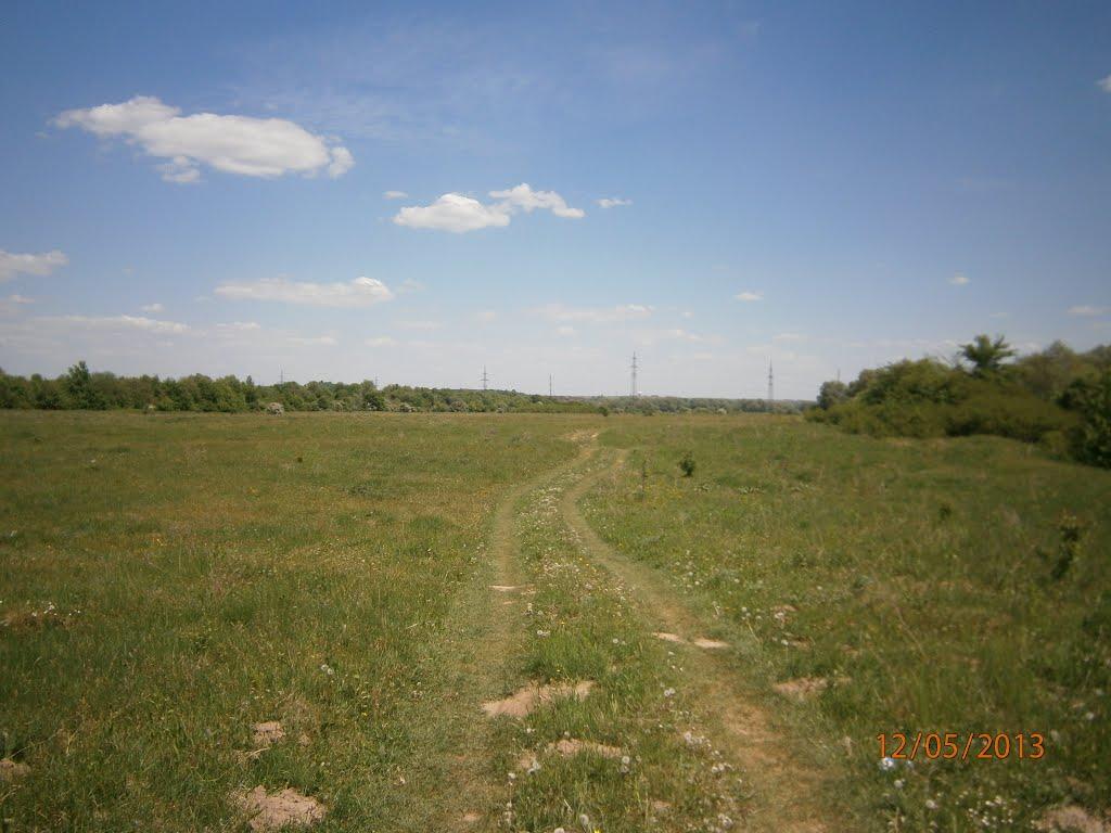 Берездівці з panoramio.com - Berezdivtsi