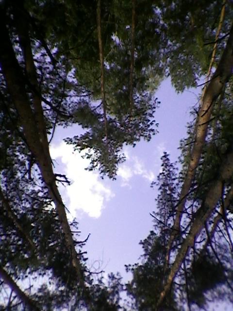 Селісок з panoramio.com - Селісок