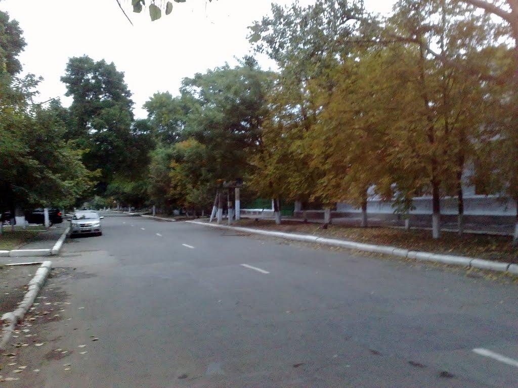 Кілія з panoramio.com (ч.2) - Килия