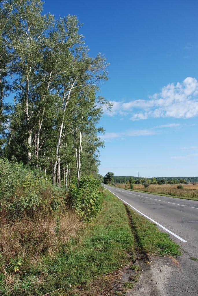 Балаклія з panoramio.com - Балаклея
