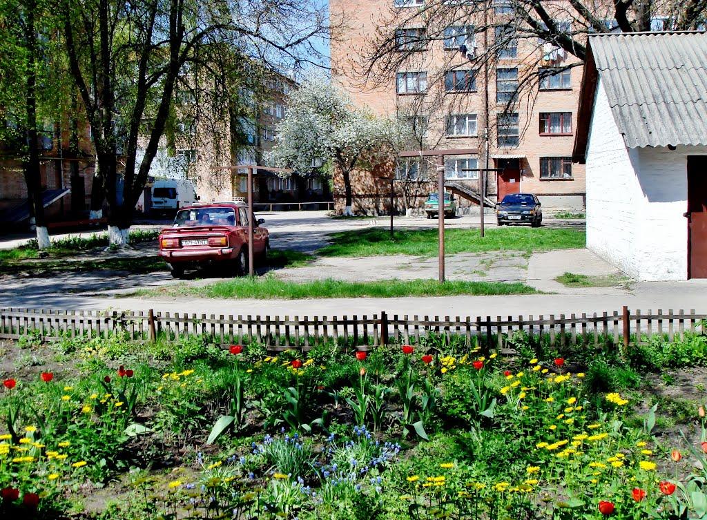 Гудзівка з panoramio.com - Гудзівка