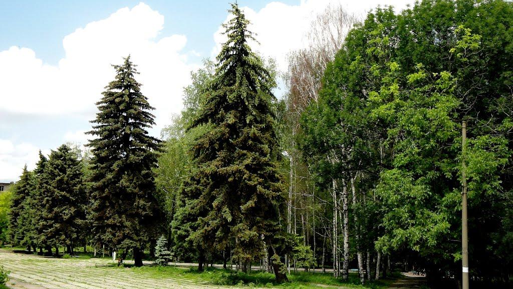 Нововоронцовка з panoramio.com - Нововоронцовка