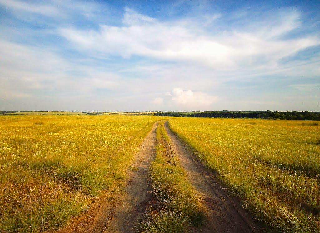 Кам'яний Міст з panoramio.com - Кам'яний Міст