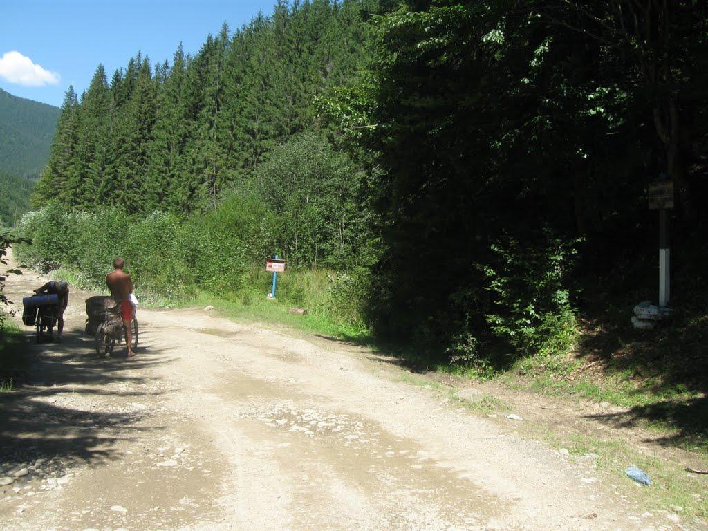 Усть-Чорна з panoramio.com - Усть-Чорна