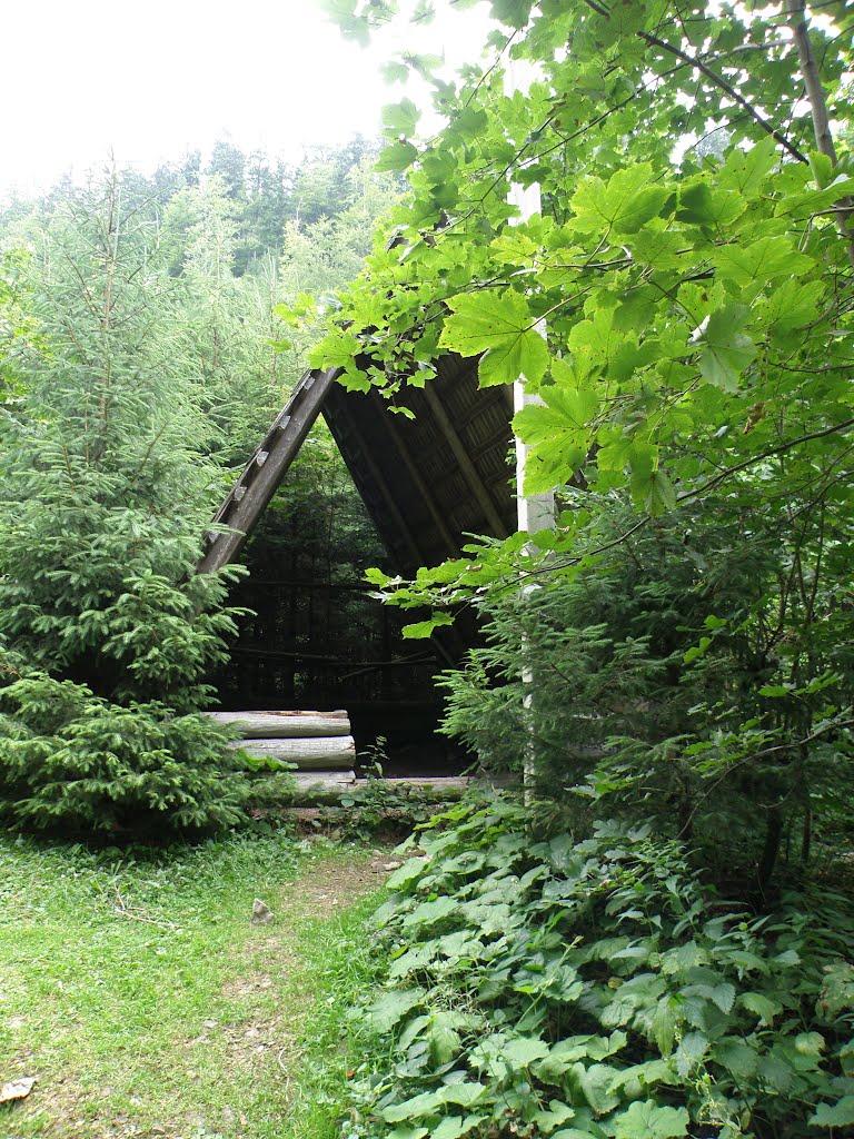 Синевирська Поляна з panoramio.com - Синевирская Поляна
