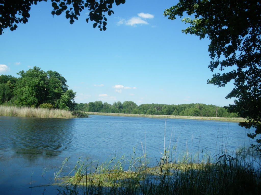 Пришиб з panoramio.com - Пришиб