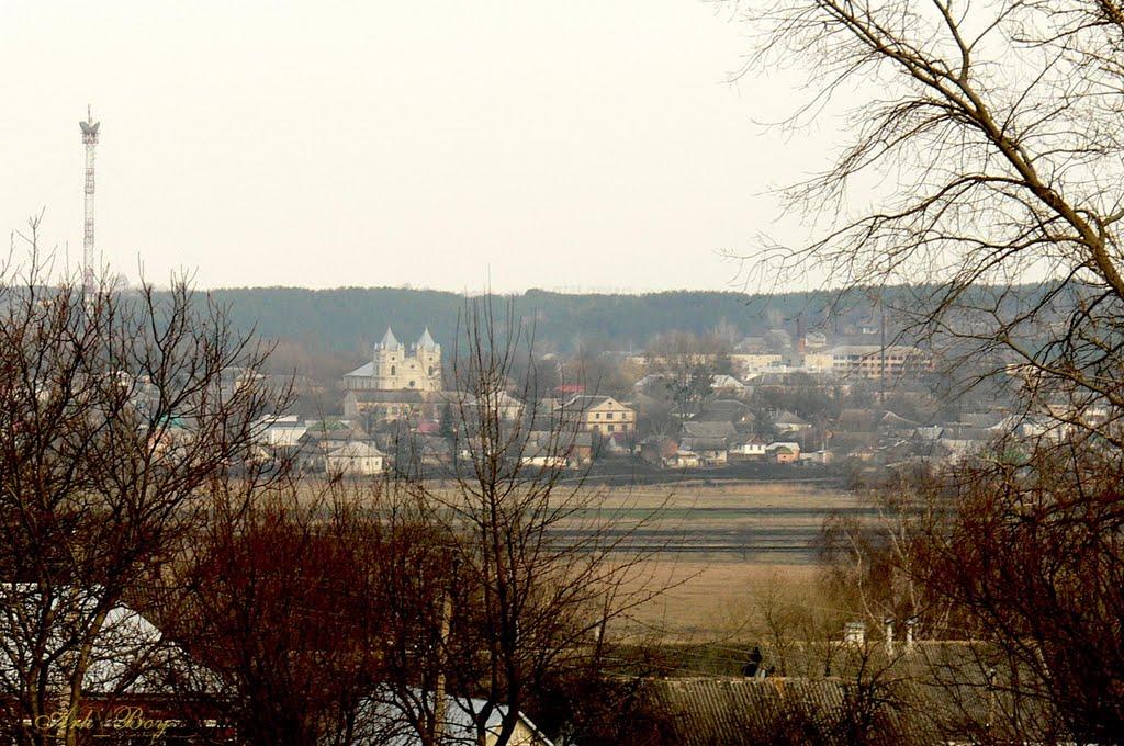 Васьківці з panoramio.com - Васьковцы