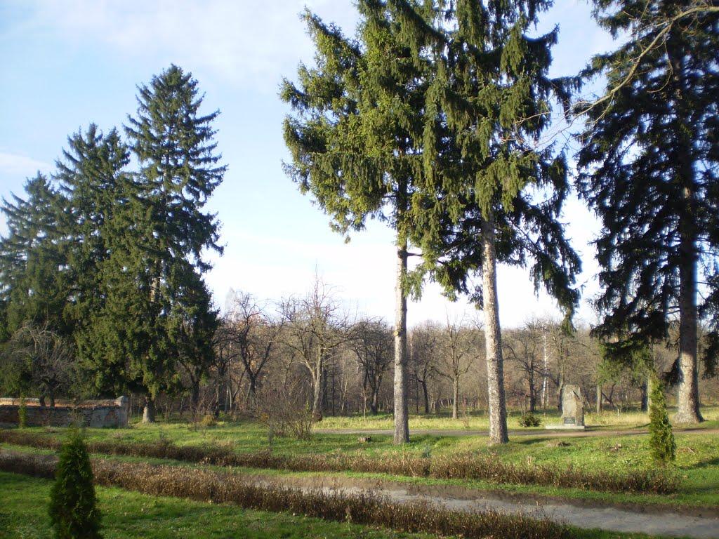 Самчики з panoramio.com - Самчики