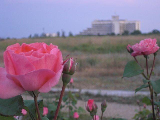 Саки з panoramio.com - Саки