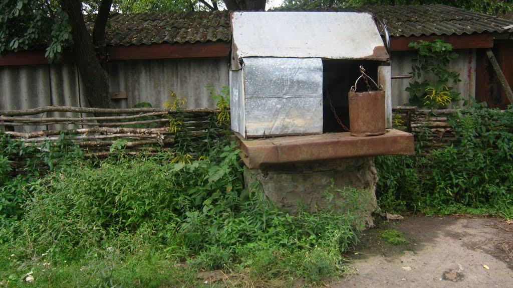 Олексіївка з panoramio.com - Олексіївка